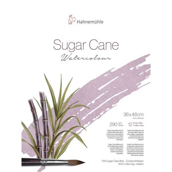 Hahnemuhle SUGAR CANE 290gr. 70% Fibra Caña de Azúcar 30% Algodón