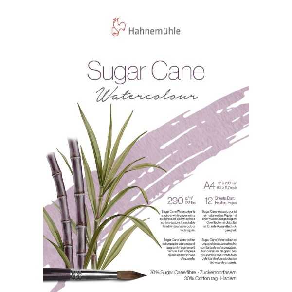 Hahnemuhle SUGAR CANE 290gr. 70%...